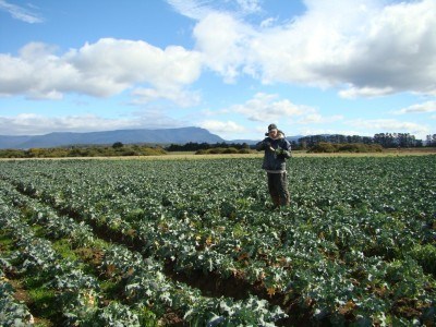 Working on a lonely farm in Poatina in 2010