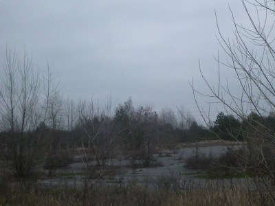 Barren land at Dityatki Checkpoint