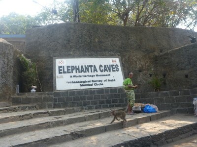 Another monkey at Elephanta Caves
