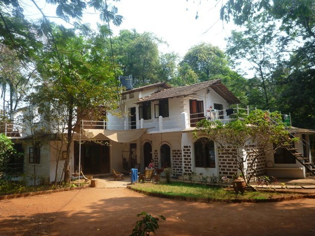 Jungle Hostel