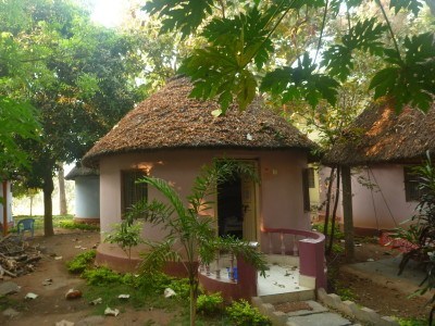 My pink hut
