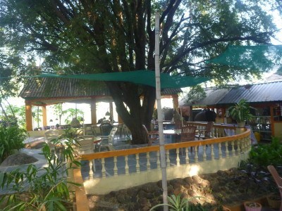 A relaxing paradise at Mowgli Guest House