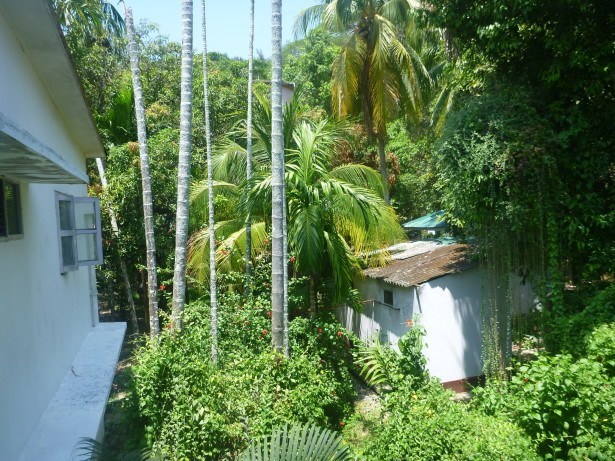 Leafy gardens at Peerless Sarovar Portico