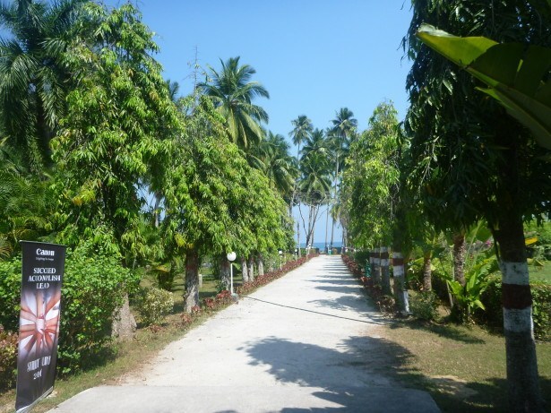 Leafy path way down to the beach at Corbyn's Cove
