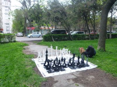 Chess at Erkindik Park