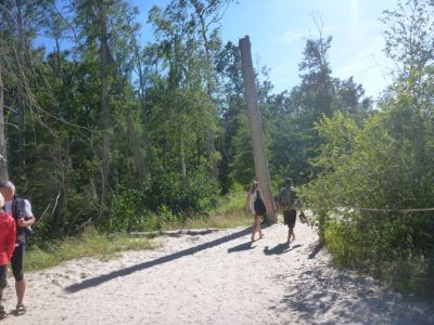 The Forest and dunes at Słowiński National Park