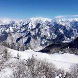 World Travellers: Jamie from Gaijin Crew in Japan Ski-ing