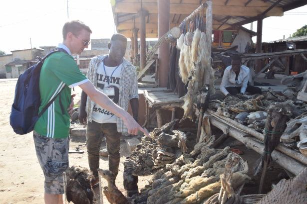 Backpacking in Togo: Touring the World's Largest Fetish Market in Akodessawa, Lomé