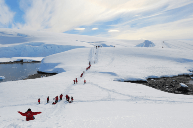 antarctica-expedition-cruise-©Studio PONANTNathalie Michel