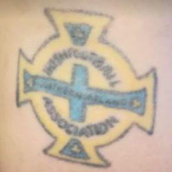 Tattoo Northern Ireland badge