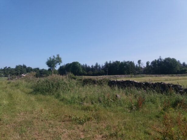 Visiting The Actual Fields Of Athenry, Republic of Ireland