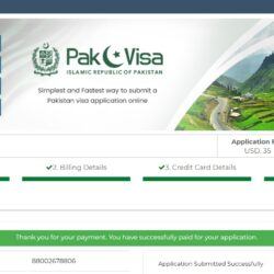 How To Get An Online Tourist Visa For Pakistan 🇵🇰