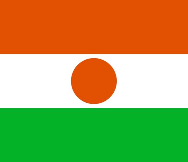 Republic of The Niger flag