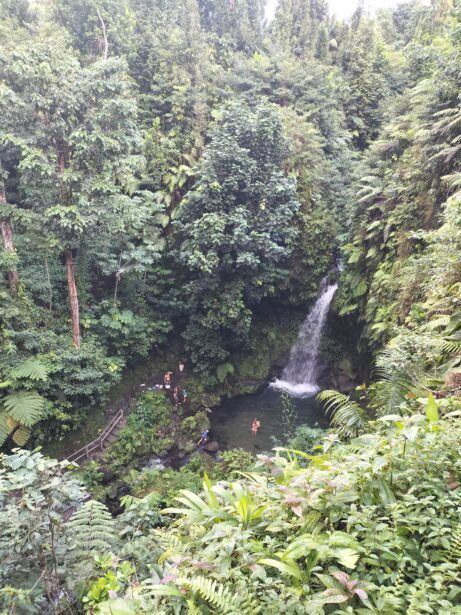 Is wacaday Dominica the REAL GREELAND?