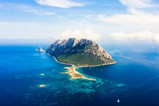 Backpacking In Tavolara👑🟥🌟: Top 16 Sights In The World's Smallest Island⛴️🏖🤴Kingdom
